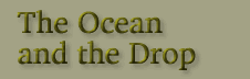Title: The Ocean & The Drop
